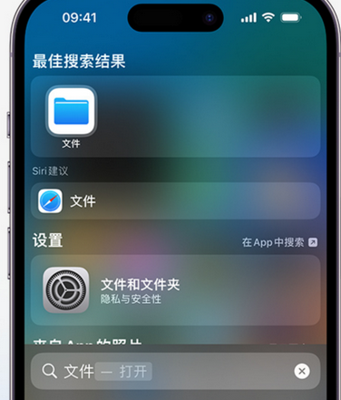 南靖apple维修中心分享iPhone文件应用中存储和找到下载文件 