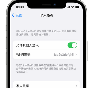 南靖apple服务站点分享iPhone上个人热点丢失了怎么办