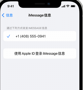 南靖apple维修iPhone上无法正常发送iMessage信息 