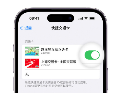 南靖apple维修点分享iPhone上更换Apple Pay快捷交通卡手绘卡面 