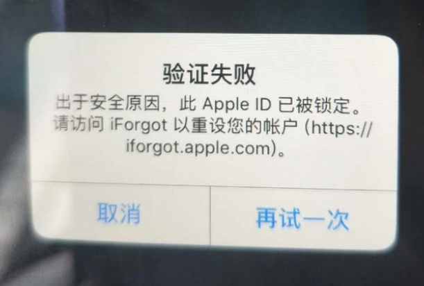 南靖iPhone维修分享iPhone上正常登录或使用AppleID怎么办 