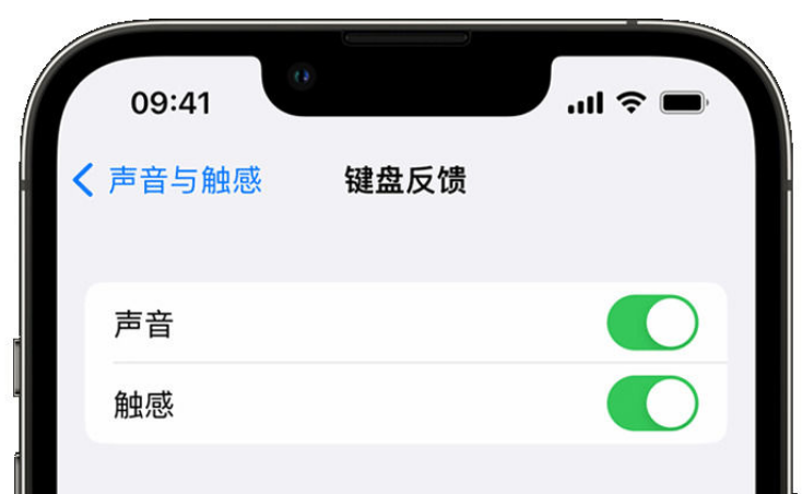 南靖苹果手机维修分享iPhone 14触感键盘使用方法 