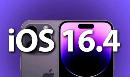 南靖苹果14维修分享：iPhone14可以升级iOS16.4beta2吗？ 