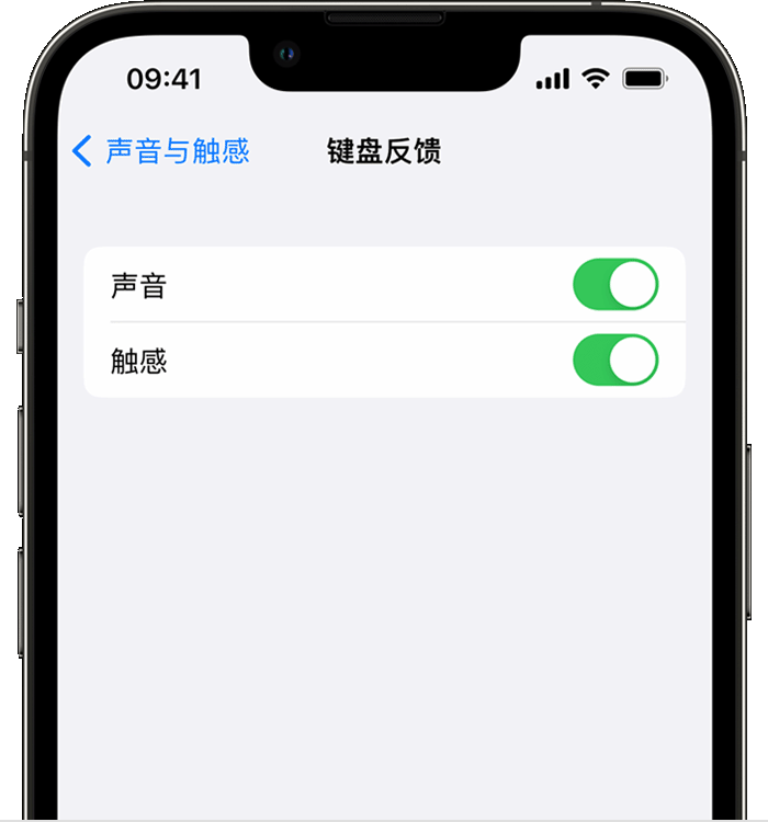 南靖苹果14维修店分享如何在 iPhone 14 机型中使用触感键盘 