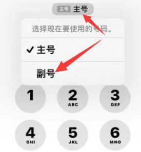 南靖苹果14维修店分享iPhone 14 Pro Max使用副卡打电话的方法 