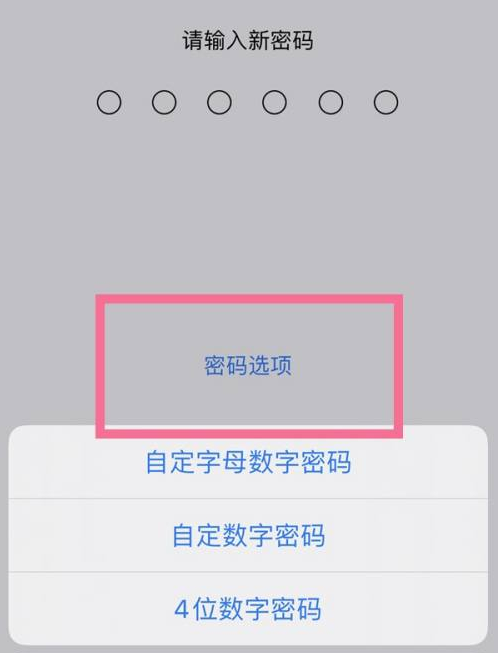 南靖苹果14维修分享iPhone 14plus设置密码的方法 