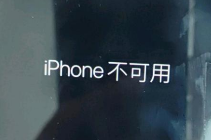 南靖苹果服务网点分享锁屏界面显示“iPhone 不可用”如何解决 